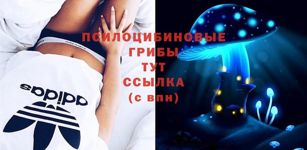 шишки Абинск