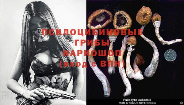 шишки Абинск