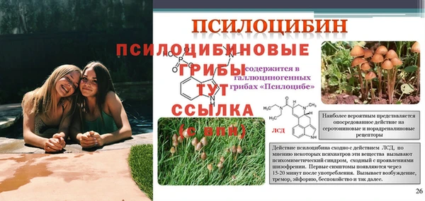 ешки Абдулино